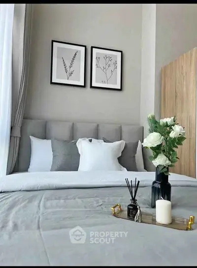 image_rental-30512304