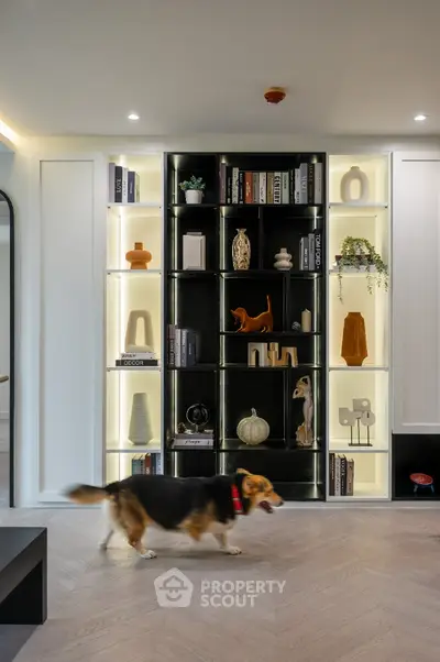 Modern living room with stylish shelving and decorative items, featuring a playful dog.