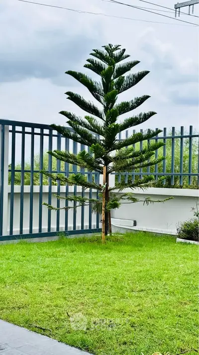 Beautiful garden with lush green grass and a unique tree, perfect for outdoor relaxation.