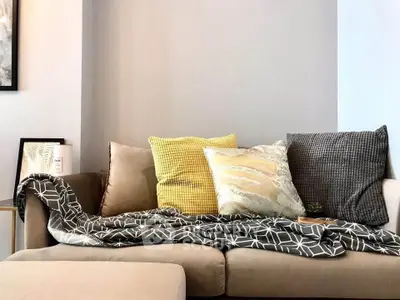 Cozy living room with stylish sofa and decorative cushions