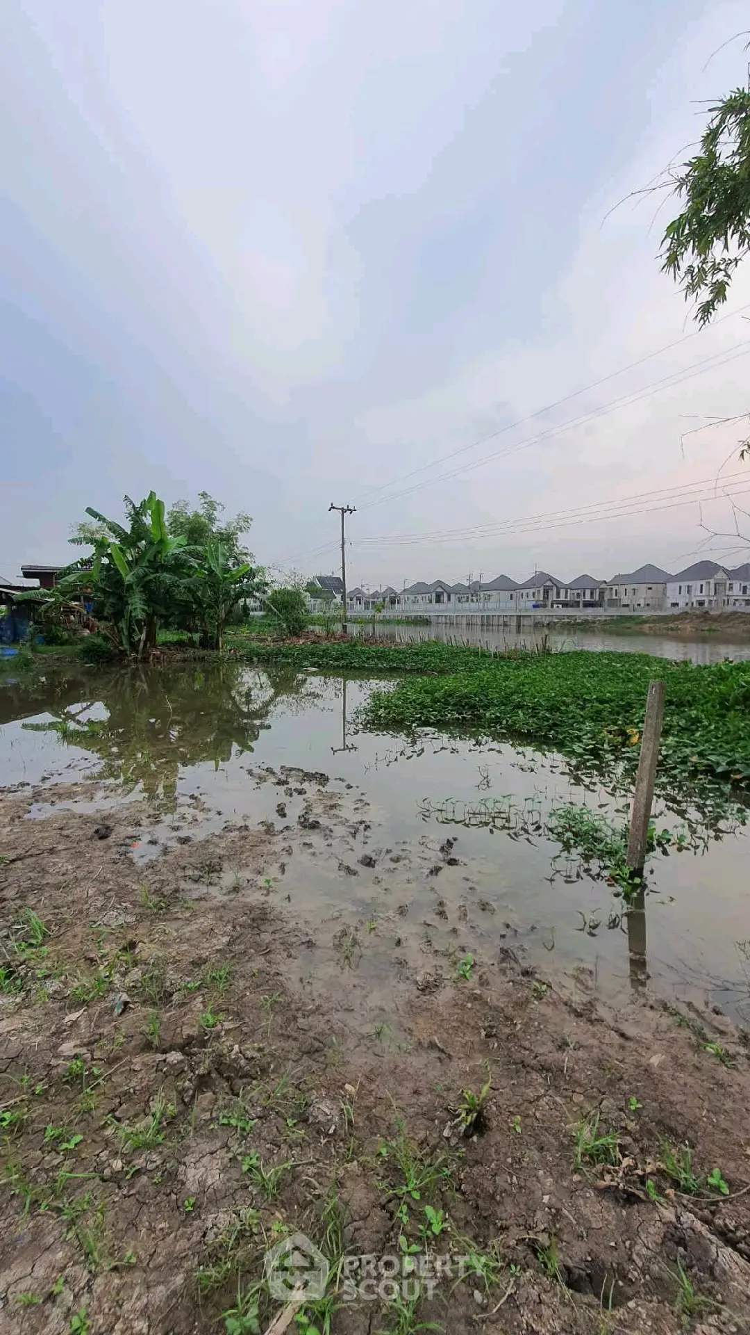 Scenic view of residential area with lush greenery and water body reflecting serene sky