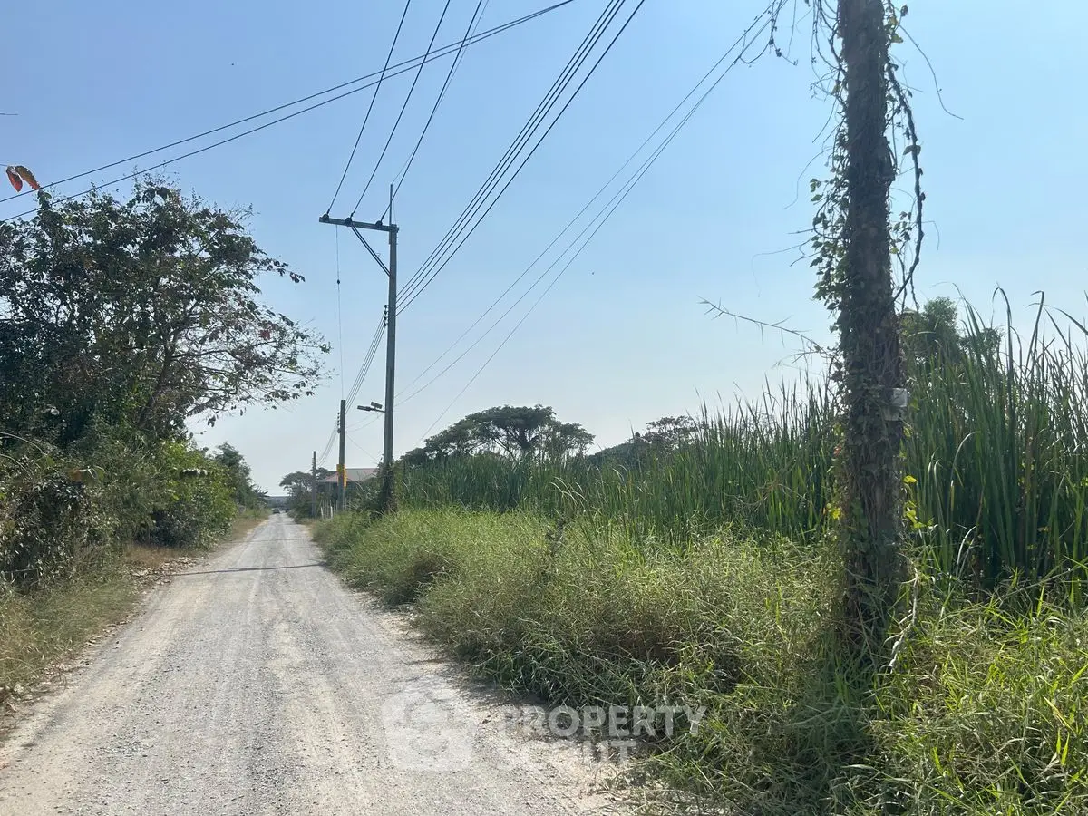 Scenic rural road with lush greenery and clear blue sky, perfect for tranquil living.
