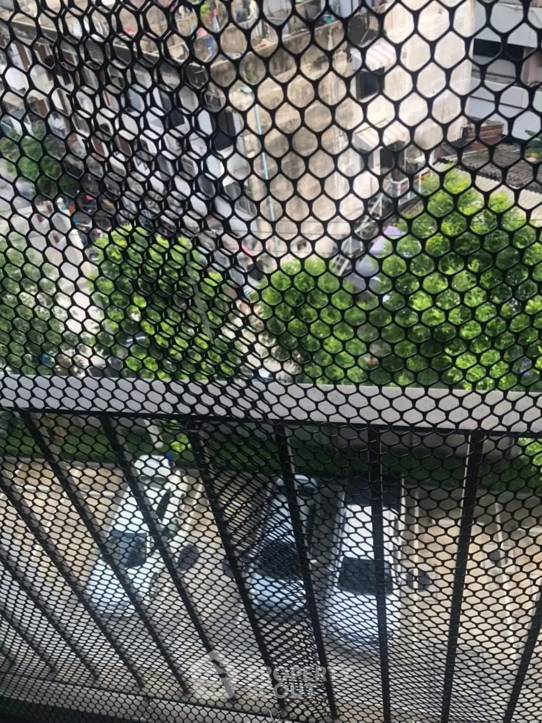 Urban view from a balcony with metal mesh and parked cars below.