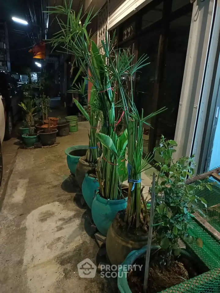 Charming urban sidewalk with lush potted plants enhancing curb appeal.