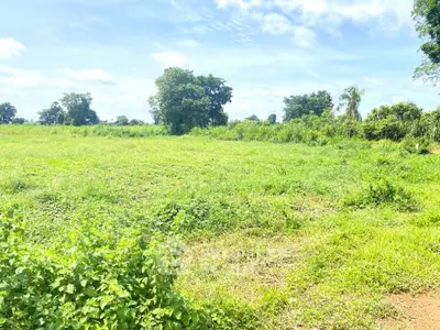 Expansive green land with lush vegetation and clear blue sky, perfect for development opportunities.