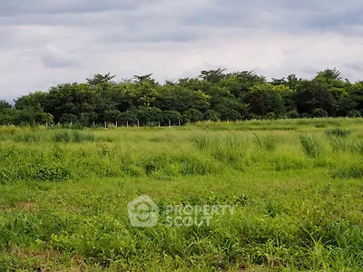 Expansive green land with lush vegetation and distant trees, perfect for development or agriculture.