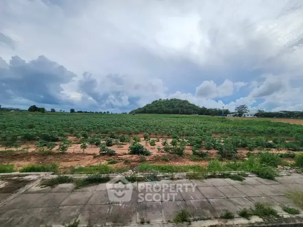 image_rental-23138690