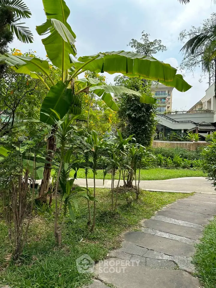 Lush garden pathway with tropical plants in a serene residential area.