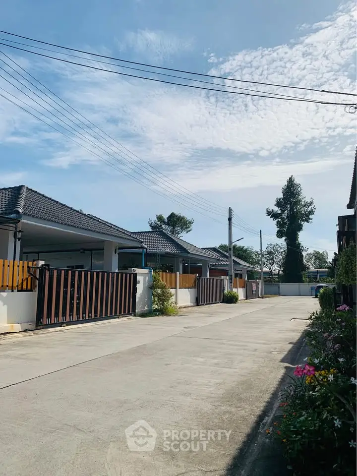 Charming residential street with modern single-story homes and lush greenery.