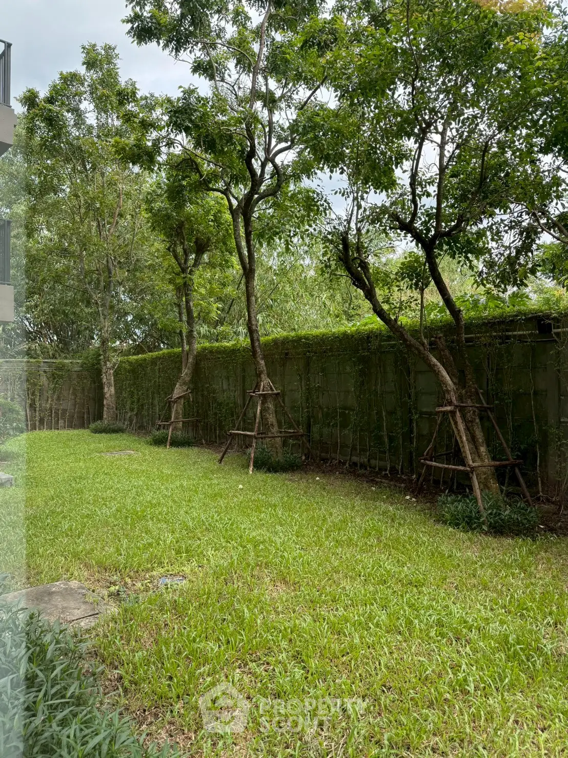 Lush green garden with tall trees and a serene ambiance, perfect for relaxation and outdoor activities.