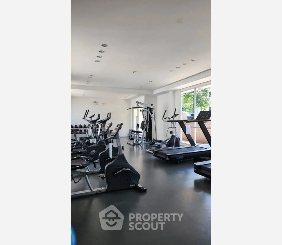 Modern gym with state-of-the-art fitness equipment and large windows for natural light.