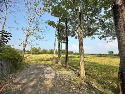 image_rental-29733856