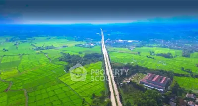 Aerial view of lush green fields and a long road stretching through the landscape.