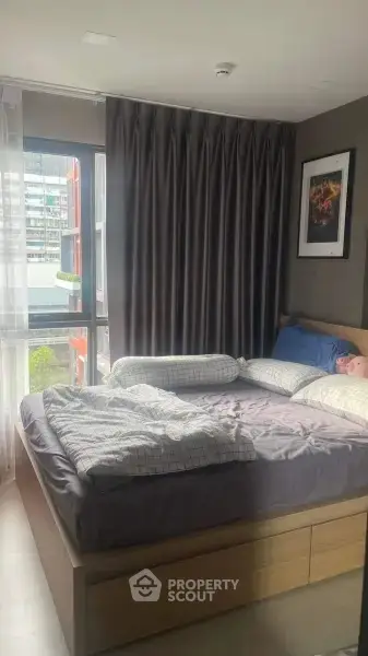 image_rental-25569788