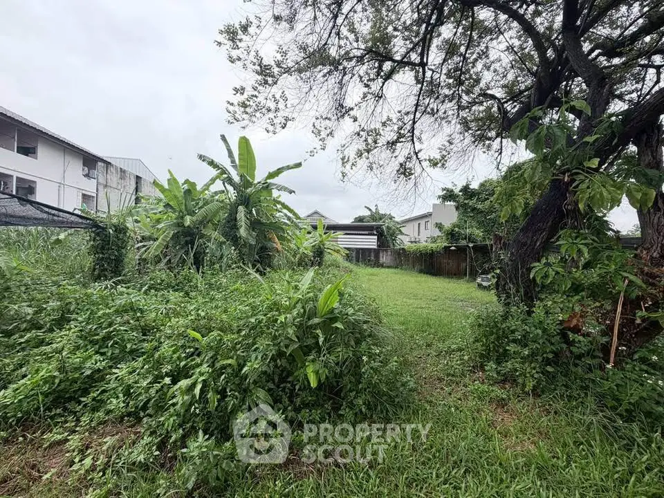 Spacious green garden area with lush vegetation and mature trees, perfect for outdoor relaxation and activities.