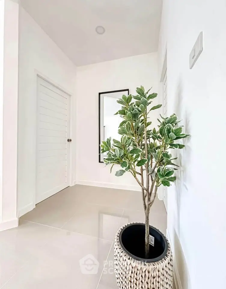 Bright hallway with modern decor and potted plant, showcasing minimalist design.