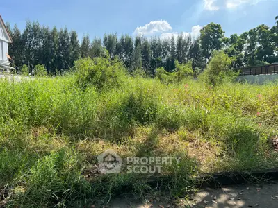 Spacious vacant land with lush greenery, ideal for development opportunities.