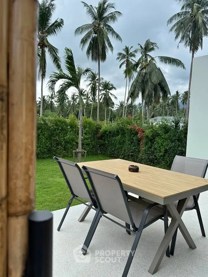 Tropical outdoor patio with modern furniture and lush palm tree views.