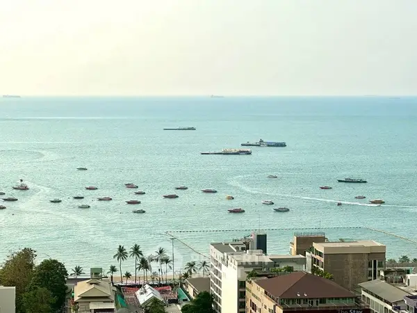 image_rental-31076566