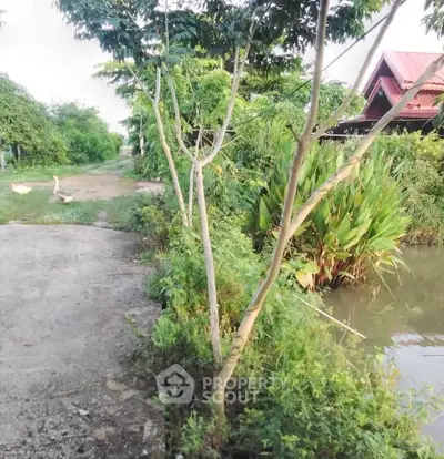 Charming rural property with lush greenery and serene pond view