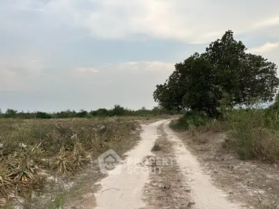 Expansive land plot with scenic rural landscape and dirt road access, perfect for development opportunities.