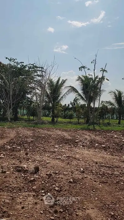 Expansive land plot with lush greenery and clear blue sky, perfect for development opportunities.