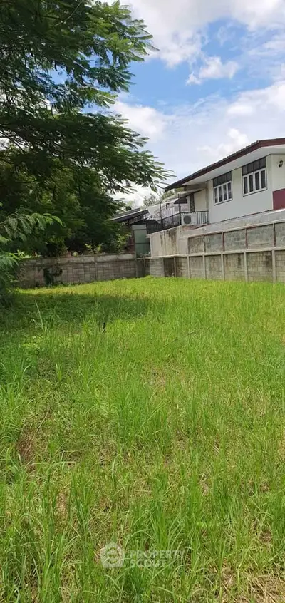 Spacious backyard with lush greenery and a view of a modern house exterior.