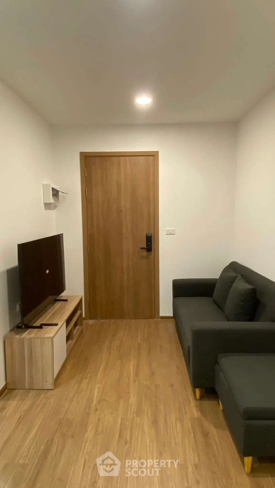 Modern living room with sleek wooden flooring, cozy sofa, and flat-screen TV, perfect for relaxation.