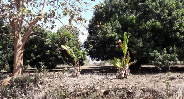 image_rental-26274394