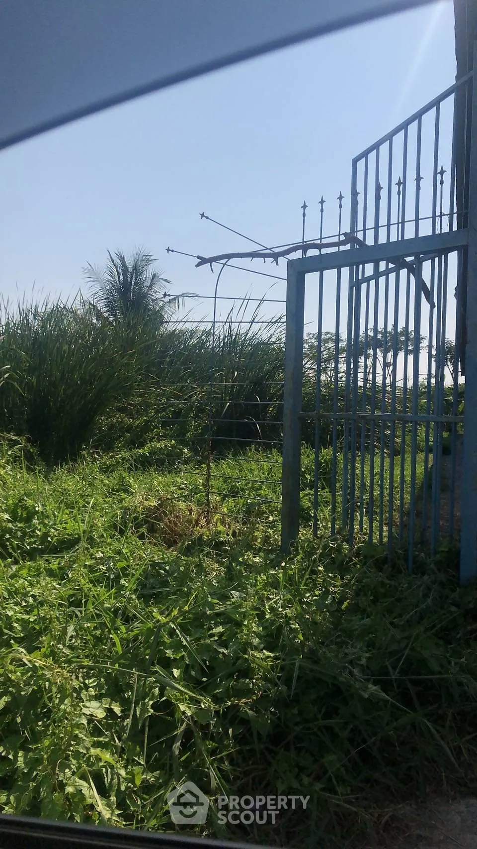 Explore this lush green plot with a gated entrance, perfect for development opportunities.