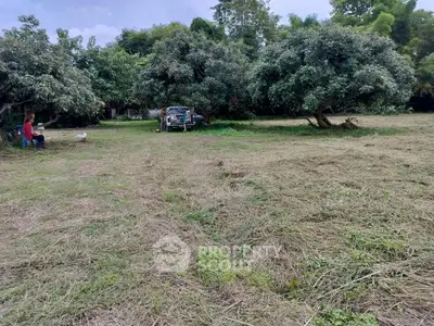 Spacious land plot with lush trees, ideal for development or agriculture.