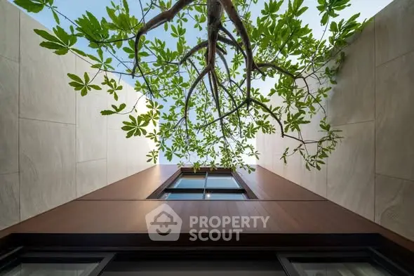 Modern architectural design with a tree view from below, showcasing unique integration of nature and structure.