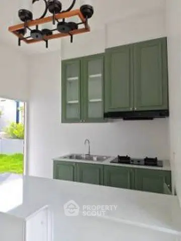Charming kitchen with green cabinets and gas stove, perfect for culinary enthusiasts.