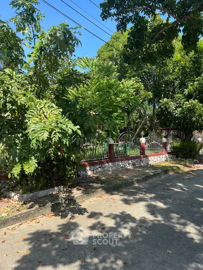 Charming residential street with lush greenery and fenced property under a clear blue sky.