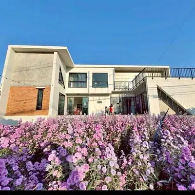 image_rental-31796692