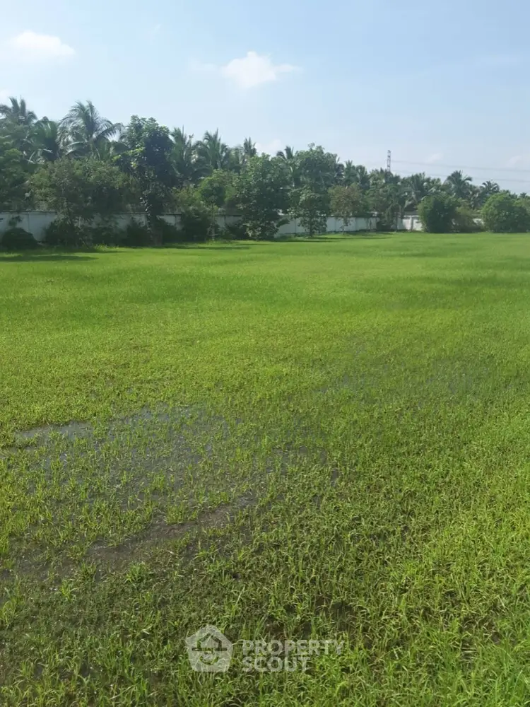 Expansive green field perfect for development with lush surroundings and clear blue sky.