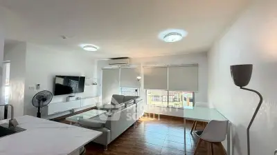 Modern living room with sleek furniture and natural light