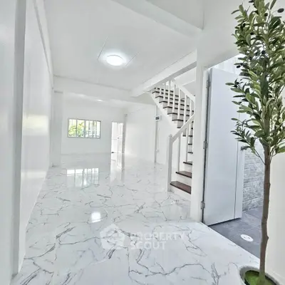 image_rental-31605362