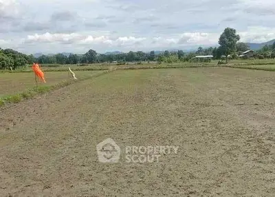 image_rental-27710449