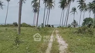 Scenic land plot with palm trees and ocean view, ideal for development.