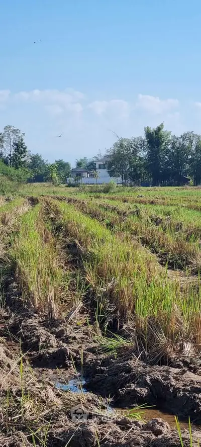 image_rental-29188078