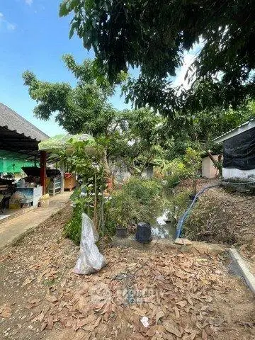 Spacious garden area with lush greenery and potential for landscaping in a serene residential setting.