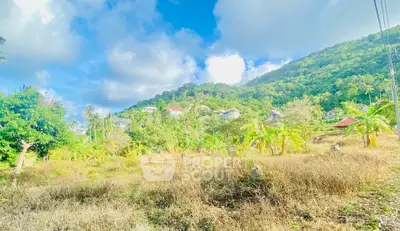 Scenic hillside view with lush greenery and distant houses under a bright blue sky.