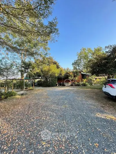 Charming countryside home with spacious gravel driveway and lush greenery.