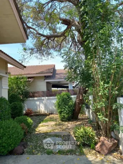 Charming garden pathway with lush greenery and tree in suburban home setting.