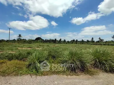 Expansive land plot with lush greenery under a clear blue sky, ideal for development or agriculture.