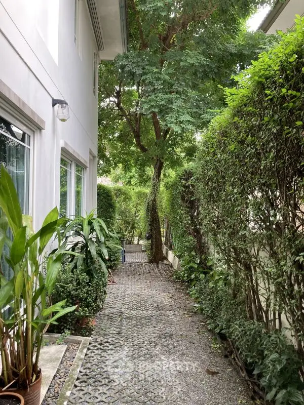 Charming garden pathway beside a modern home with lush greenery and serene ambiance.