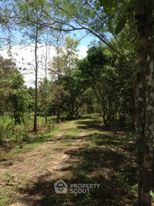 image_rental-14131117