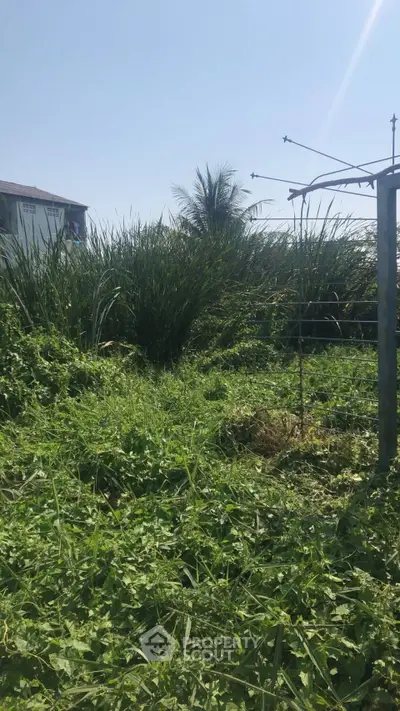 Spacious green plot with lush vegetation, ideal for development or gardening, offering serene natural surroundings.