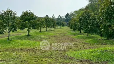image_rental-31902262
